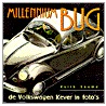 Millennium bug door K. Seume