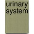 Urinary System
