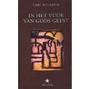 In het vuur van Gods geest by C. Welkisch