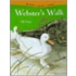Webster's Walk