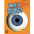 What Is Sight?
