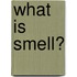 What Is Smell?