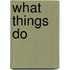 What Things Do