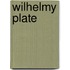 Wilhelmy Plate