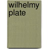 Wilhelmy Plate door Miriam T. Timpledon