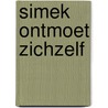Simek ontmoet zichzelf by M. Simek