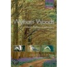Wytham Woods C by Peter Savill