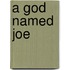 A God Named Joe