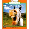 A Look at Teeth door Allan Fowler