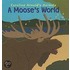 A Moose's World