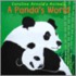 A Panda's World