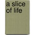 A Slice Of Life