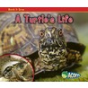 A Turtle's Life by Nancy Dickmann