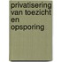 Privatisering van toezicht en opsporing