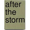 After The Storm door Hugh McMillan