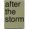 After the Storm door Robert Italia