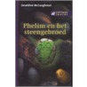 Phelim en het steengebroed by G. MacCaughrean