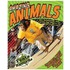 Amazing Animals