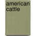 American Cattle