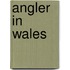 Angler in Wales