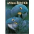 Animal Behavior
