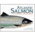 Atlantic Salmon