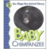 Baby Chimpanzee
