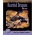 Bearded Dragons