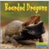 Bearded Dragons