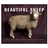 Beautiful Sheep door Kathryn Dun