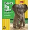 Beco's Big Year door Linda Stanke