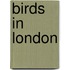 Birds In London