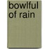 Bowlful of Rain
