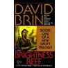 Brightness Reef door David Brin