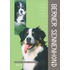 Berner Sennenhond