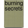 Burning Secrets door Steven Brezenoff