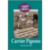 Carrier Pigeons
