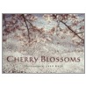 Cherry Blossoms by Jake Rajs