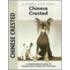 Chinese Crested