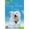 Come Back, Como door Steven Winn