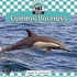 Common Dolphins