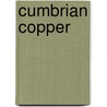 Cumbrian Copper door Ray Huddart