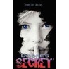 Deidre's Secret door Terry Lee Wilde