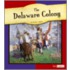 Delaware Colony