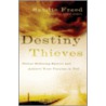 Destiny Thieves door Sandie Freed