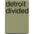 Detroit Divided