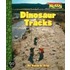Dinosaur Tracks