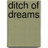 Ditch of Dreams