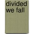 Divided We Fall