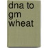 Dna To Gm Wheat